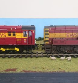 Weathering Services for O Gauge